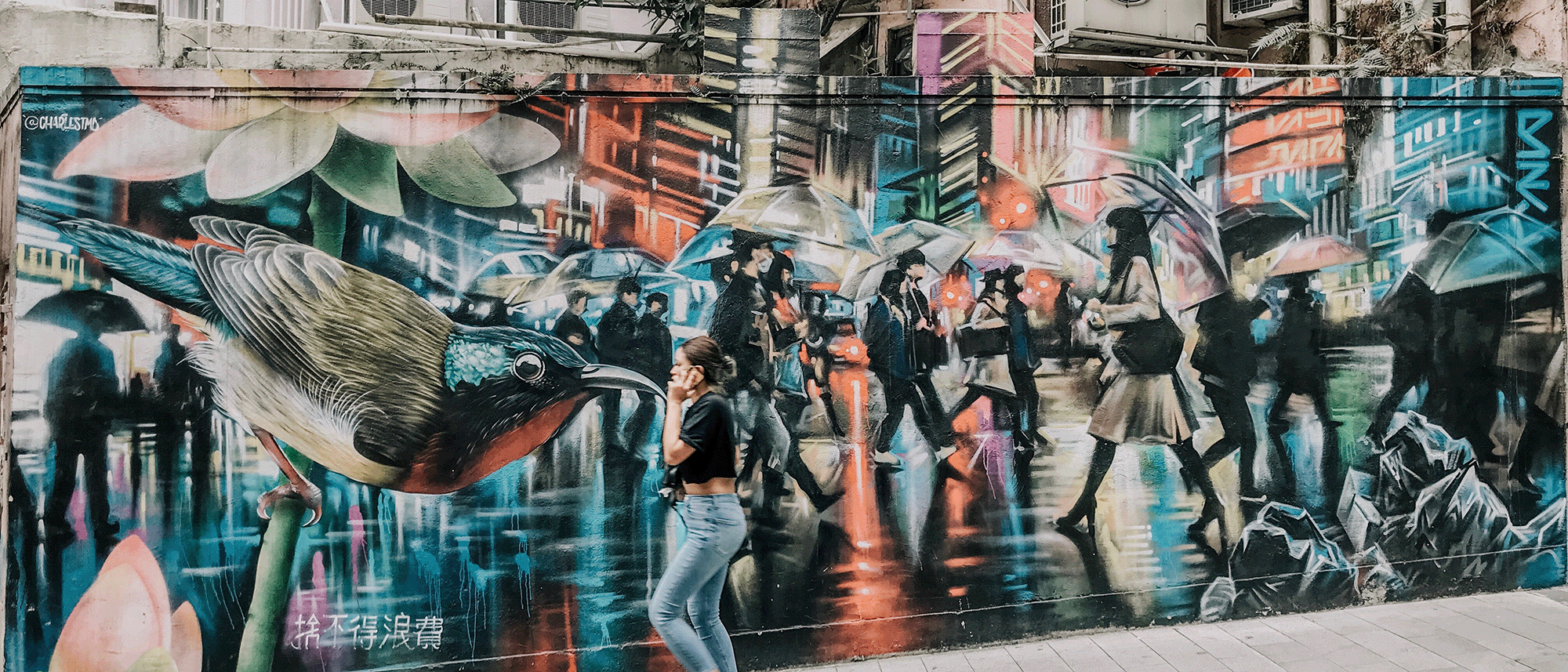 Culture background